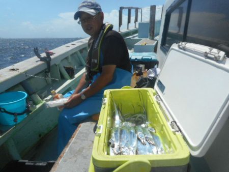 大進丸（愛知） 釣果