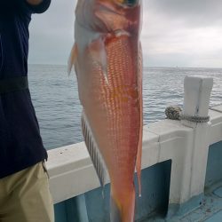 金剛丸 釣果