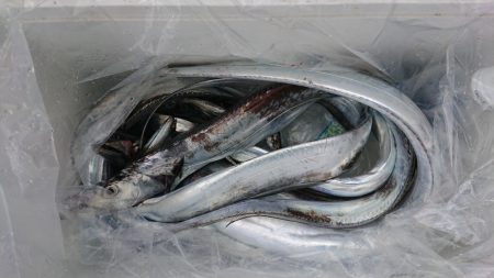 ＨＡＲＵＫＡ丸　はるかまる 釣果