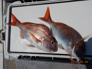 作十丸 釣果