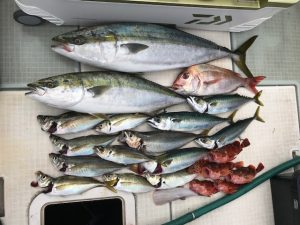 さぶろう丸 釣果