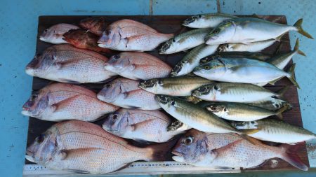 はらまる 釣果