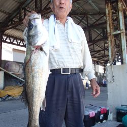 久六釣船 釣果