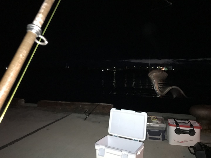 夕方スタートの涼しいアナゴ釣り
