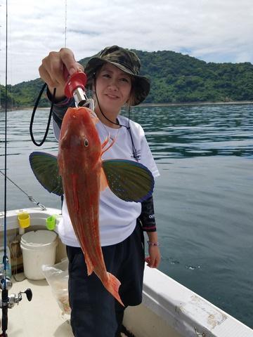 遊漁船　ニライカナイ 釣果