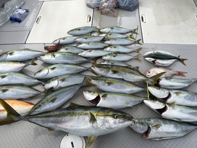 ミタチ丸 釣果