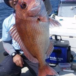 めだか屋 釣果