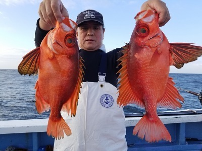 しまや丸 釣果