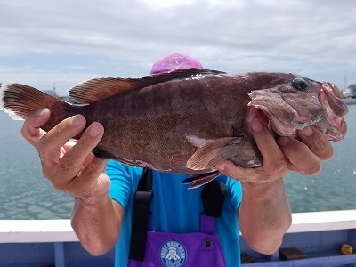 しまや丸 釣果