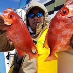 しまや丸 釣果