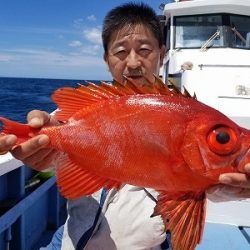 しまや丸 釣果