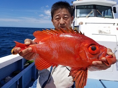 しまや丸 釣果