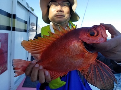 しまや丸 釣果