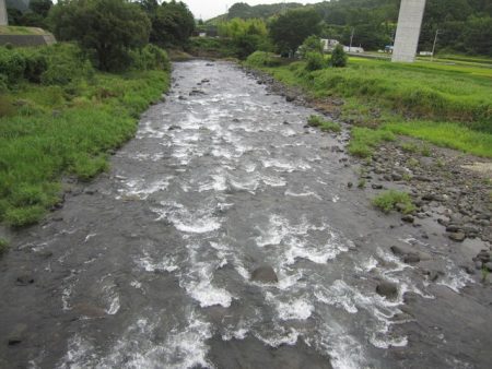 狩野川（狩野川漁業協同組合） 釣果