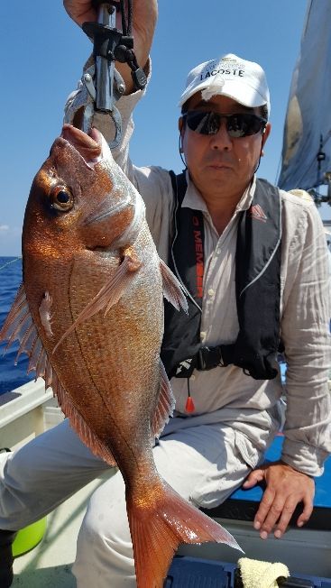 海峰 釣果