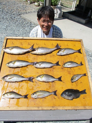 新留渡船 釣果