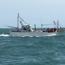 松鶴丸 釣果