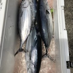 たいし丸 釣果