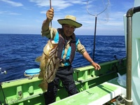 なごみ船 釣果