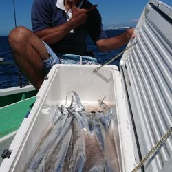 金沢八景鴨下丸 釣果