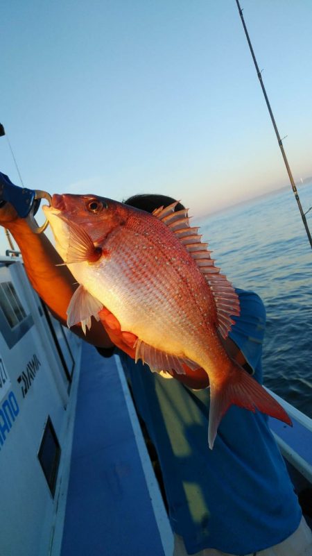 新幸丸 釣果