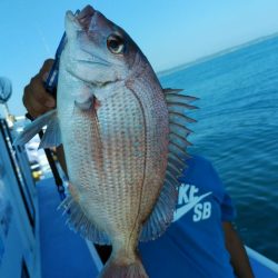 新幸丸 釣果