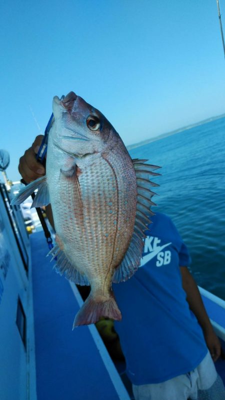 新幸丸 釣果