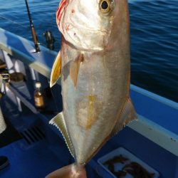 新幸丸 釣果