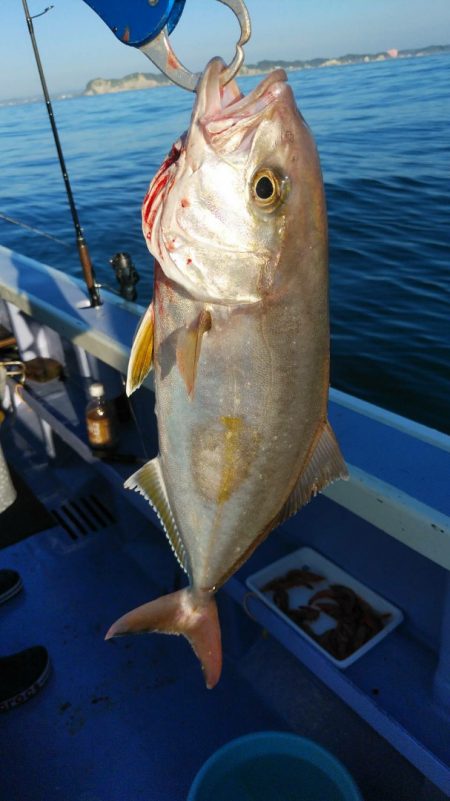 新幸丸 釣果