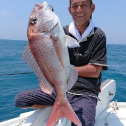 だて丸 釣果