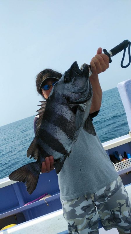 新幸丸 釣果