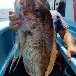 みやけ丸 釣果