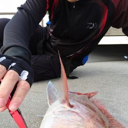 海皇丸 釣果