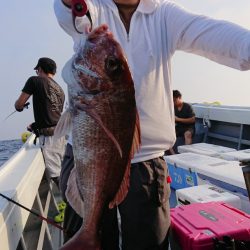 だて丸 釣果