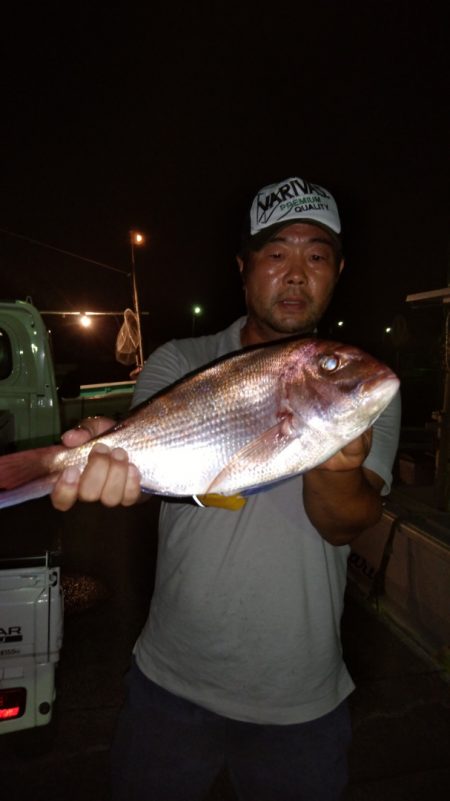 富士丸 釣果