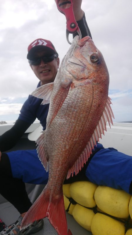 だて丸 釣果