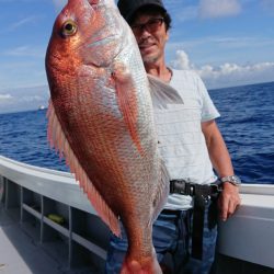 だて丸 釣果