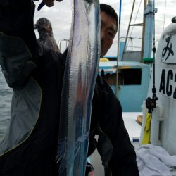 みやけ丸 釣果