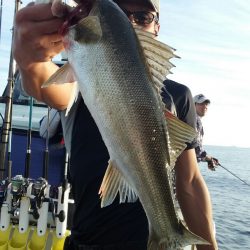 鷹王丸 釣果