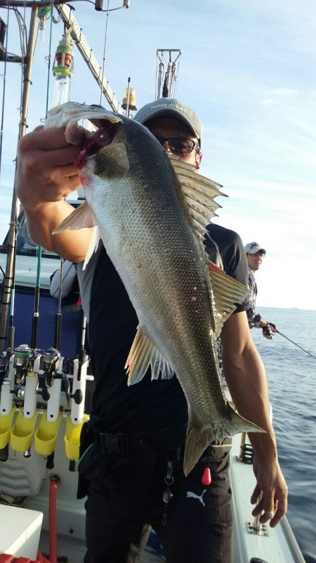 鷹王丸 釣果