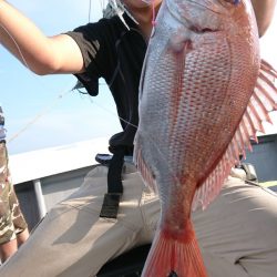 だて丸 釣果