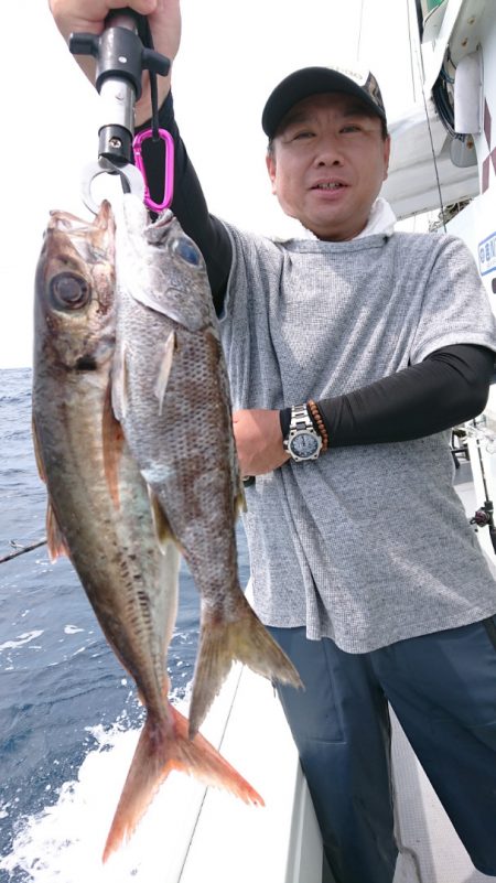 だて丸 釣果