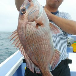 新幸丸 釣果