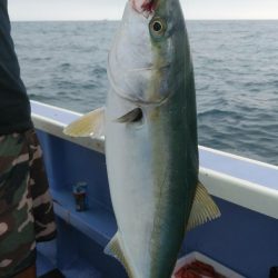 新幸丸 釣果