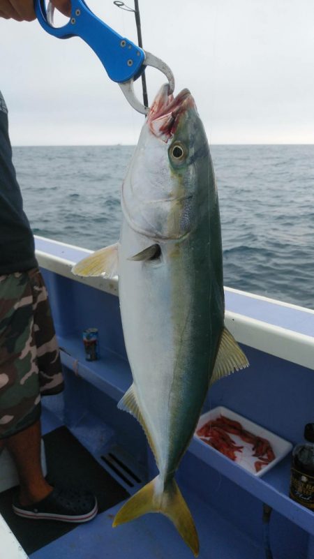 新幸丸 釣果