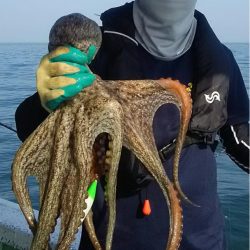 ヤザワ渡船 釣果