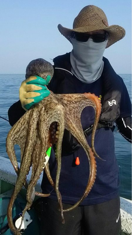 ヤザワ渡船 釣果