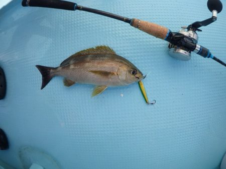 水天丸 釣果