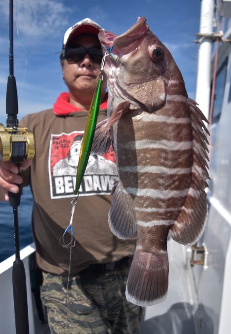 渡船屋たにぐち 釣果