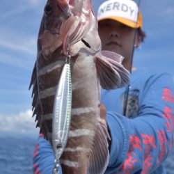 渡船屋たにぐち 釣果